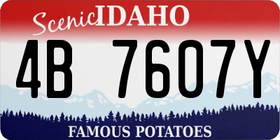 ID license plate 4B7607Y