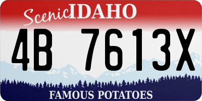 ID license plate 4B7613X