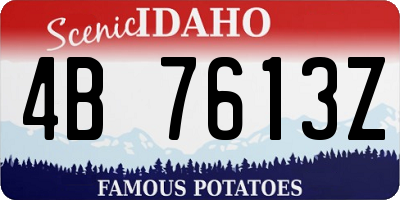 ID license plate 4B7613Z