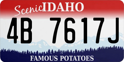 ID license plate 4B7617J
