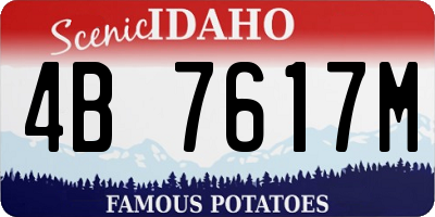 ID license plate 4B7617M