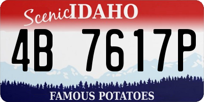 ID license plate 4B7617P