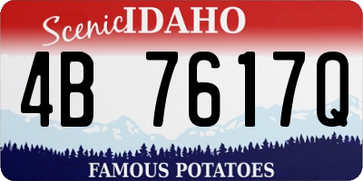 ID license plate 4B7617Q