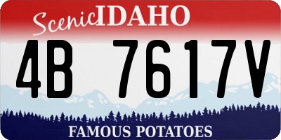 ID license plate 4B7617V