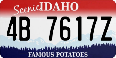 ID license plate 4B7617Z