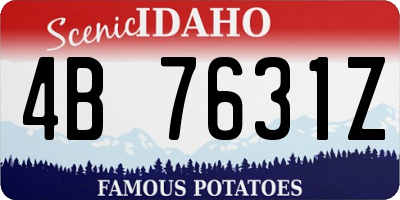 ID license plate 4B7631Z