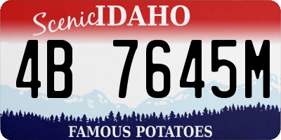 ID license plate 4B7645M