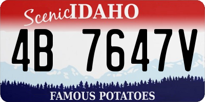 ID license plate 4B7647V