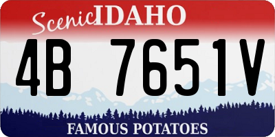 ID license plate 4B7651V