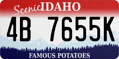 ID license plate 4B7655K