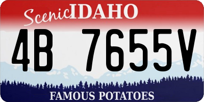 ID license plate 4B7655V