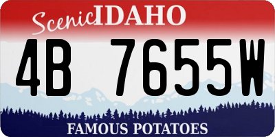 ID license plate 4B7655W