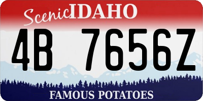 ID license plate 4B7656Z