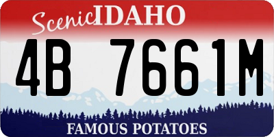 ID license plate 4B7661M