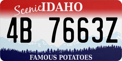 ID license plate 4B7663Z