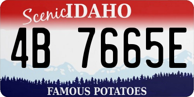 ID license plate 4B7665E