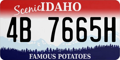 ID license plate 4B7665H
