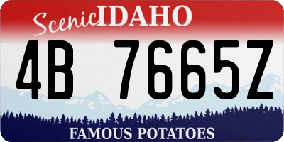 ID license plate 4B7665Z