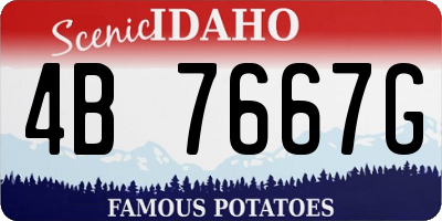 ID license plate 4B7667G