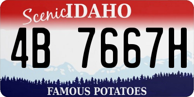 ID license plate 4B7667H
