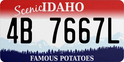 ID license plate 4B7667L