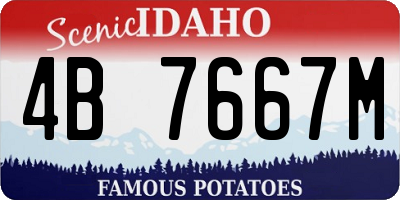 ID license plate 4B7667M