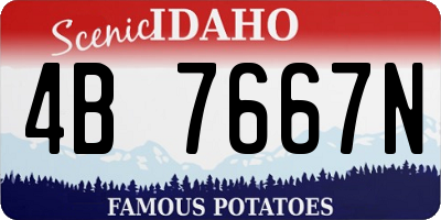 ID license plate 4B7667N