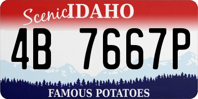 ID license plate 4B7667P