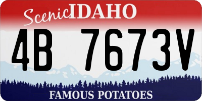 ID license plate 4B7673V