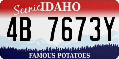 ID license plate 4B7673Y