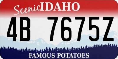 ID license plate 4B7675Z