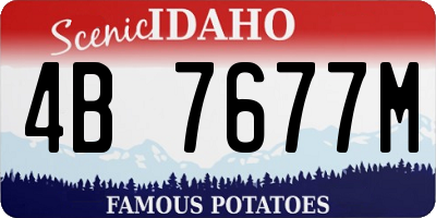 ID license plate 4B7677M