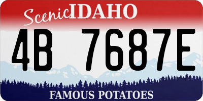 ID license plate 4B7687E
