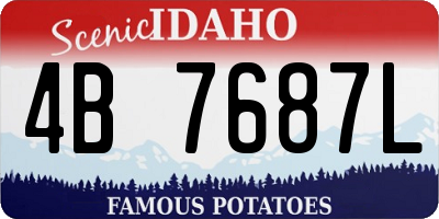 ID license plate 4B7687L