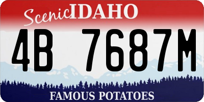 ID license plate 4B7687M