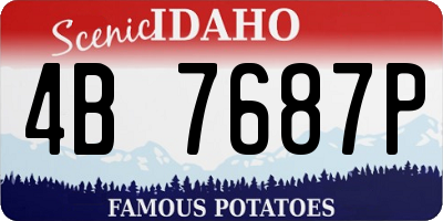 ID license plate 4B7687P