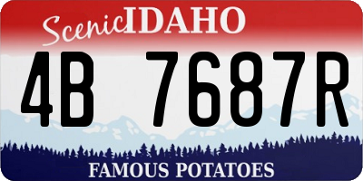 ID license plate 4B7687R