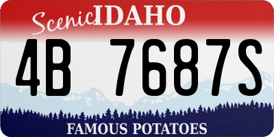 ID license plate 4B7687S