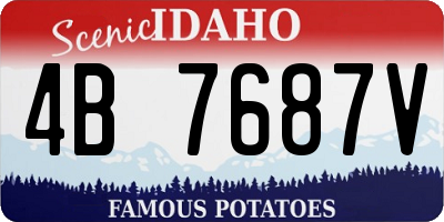 ID license plate 4B7687V