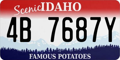 ID license plate 4B7687Y