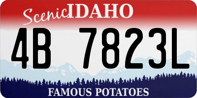 ID license plate 4B7823L