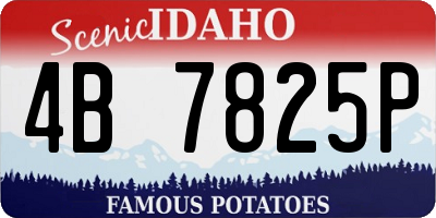 ID license plate 4B7825P