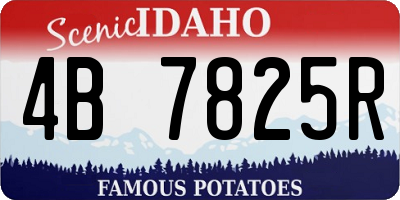 ID license plate 4B7825R
