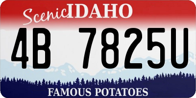 ID license plate 4B7825U