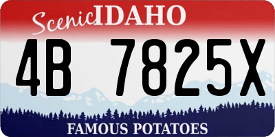 ID license plate 4B7825X