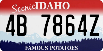 ID license plate 4B7864Z