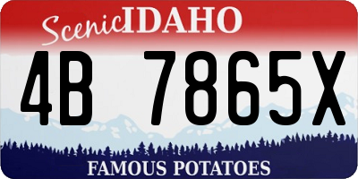 ID license plate 4B7865X
