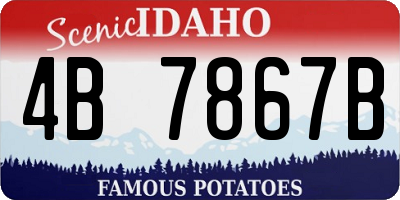 ID license plate 4B7867B