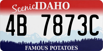 ID license plate 4B7873C