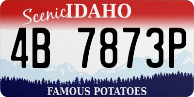 ID license plate 4B7873P